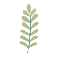 Wildflower and Leaf Watercolor Illustration