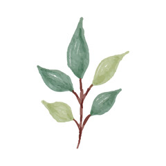Hand Painted Watercolor of Leaves and Stem
