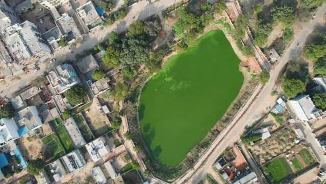 of green dirty lake with flocks of birds flying overhead surrounded by small houses and roads showing water collection in Indian cities leading to mosquitoes, diseases and more