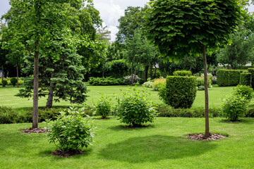 city park with garden landscape with trees and bushes with mulch on a lawn with green turf grass on...