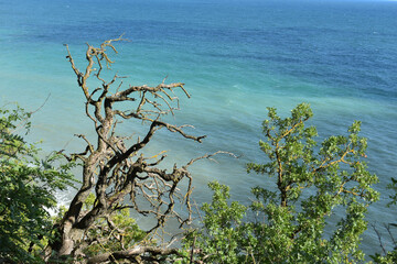 beach, sea, ocean, sand, water, coast, wave, waves, sky, nature, landscape, shore, summer, tropical, sun, surf, travel, clouds, vacation, tide, australia, island, horizon, seascape