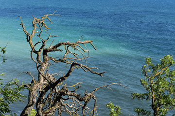 beach, sea, ocean, sand, water, coast, wave, waves, sky, nature, landscape, shore, summer, tropical, sun, surf, travel, clouds, vacation, tide, australia, island, horizon, seascape