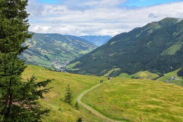 Fototapeta na wymiar Wanderweg in den Bergen bei Saalbach Hinterglemm in Österreich