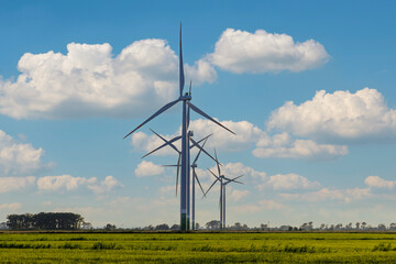 Fototapeta na wymiar Windmill farm on green meadow, green energy production using wind power