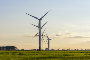 Windmill farm on green meadow, green energy production using wind power