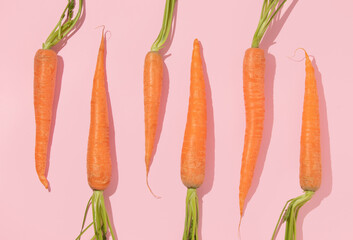 Spring creative layout with bright orange carrots on pastel pink background. 80s, 90s retro...