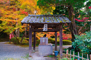 京都　今熊野観音寺の紅葉