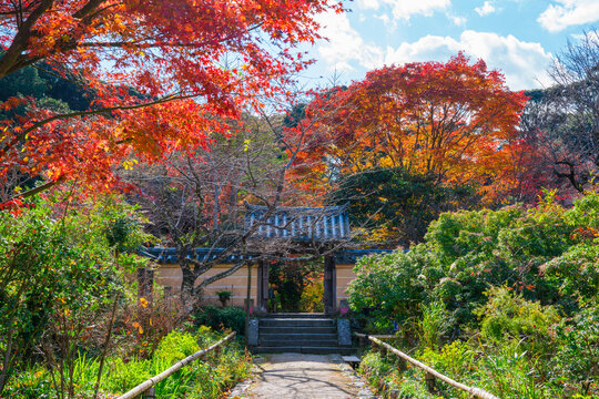 京都 浄瑠璃寺（じょうるりじ）の紅葉 © Route16