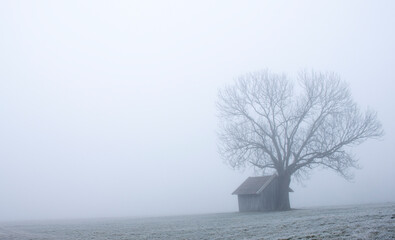 Hütte im Nebel