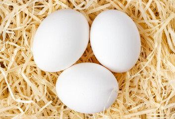 Chicken eggs on a light straw. White eggs. Nest with eggs.