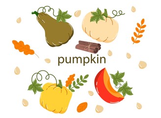 Set of pumpkin