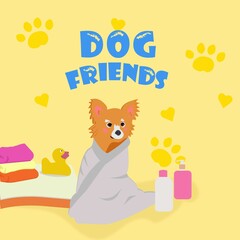 The dog is orange in a white towel, the dog has washed. Next to the duck, towel, shampoo.