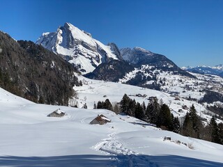 Fototapeta premium White blanket on alpine peak Wildhuser Schofberg (or Wildhuser Schafberg, 2373 m) in Alpstein mountain range and in Appenzell Alps massif, Alt St. Johann - Canton of St. Gallen, Switzerland (Schweiz)