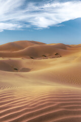 Fototapeta na wymiar Saudi golden sands
