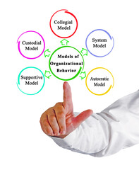 Five Models of  Organizational Behavior