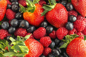 Assortment of red fruits, strawberries, blueberries and raspberries, close up