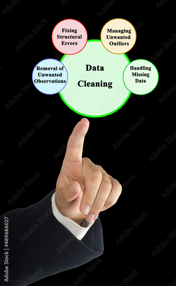 Wall mural Four components of data cleaning