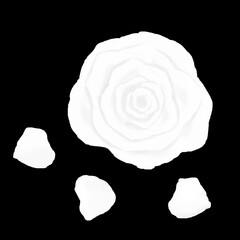 白色のバラの花と花びら