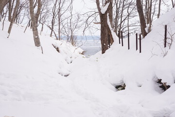 日本 北海道 網走 雪山 