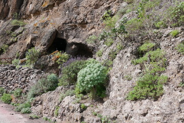 Höhlen und Blumen auf Gran Canaria