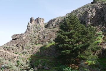 Felsenlandschaft auf Gran Canaria