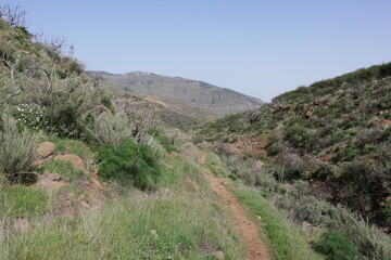 Fototapeta na wymiar Berglandschaft auf Gran Canaria