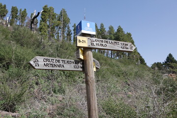 Wanderschild auf Gran Canaria und Kiefern