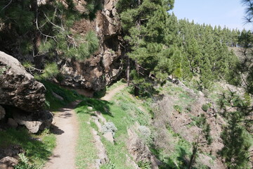 Wanderweg, Felsen und Kiefern auf Gran Canaria