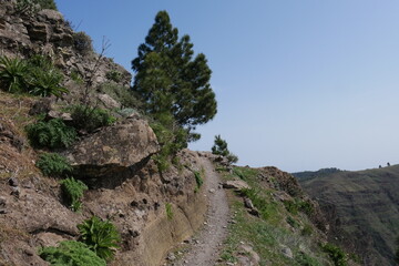 Fototapeta na wymiar Wanderweg mit Felsen und Kiefern auf Gran Canaria
