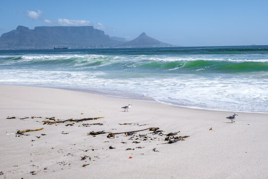 Bloubergstrand Cape Town South Africa on a bright summer day, Blouberg beach, withe powder sand and blue ocean. 