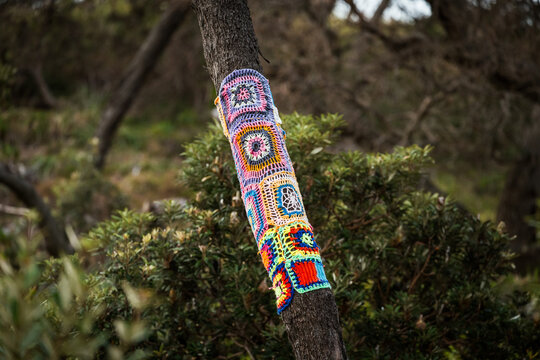 Knitting on a tree trunk