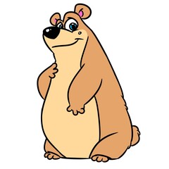 bear animal smile illustration cartoon character