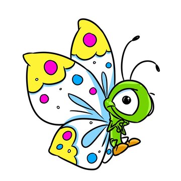 small insect animal butterfly illustration cartoon character