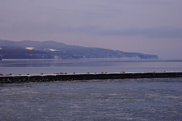 日本 北海道 網走 流氷 観光砕氷船からの景色