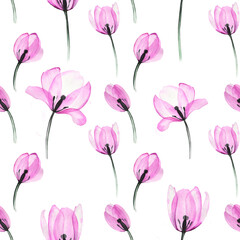 spring flower freshness pink watercolor illustration isolate  spring tulip pattern