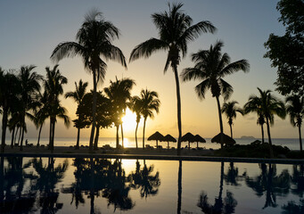 Silhouette of palm trees on the beach at sunset in the tropical island of Cozumel, Mexican Caribbean