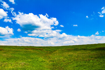 blue sky green grass pasture farming rural farm pasture grazing farmland farm grassland