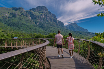 View of the boomslang walkway in the Kirstenbosch botanical garden in Cape Town, Canopy bridge at Kirstenbosch Gardens in Cape Town, built above the lush foliage.  - obrazy, fototapety, plakaty