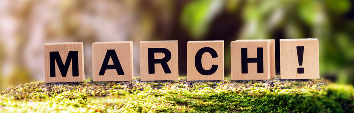 March is a word made up of children's cubes with letters in a green forest on a sunny day. the inevitable onset is the approach of the first month of spring. panoramic framing
