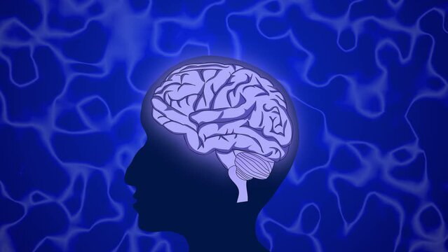 Human Brain and Silhouette Head and Glowing Animation