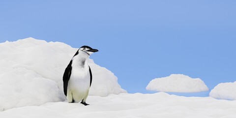 Fototapeta premium Penguin Standing on Snowy Ground 3d Illustration