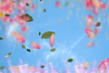 Fototapety na wymiar - Fototapeta24.pl