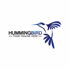 Hummingbird logo design vector template