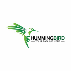Hummingbird logo design vector template