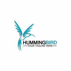 Hummingbird logo design vector template
