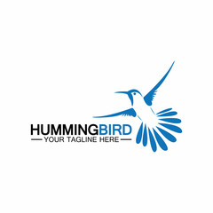 Hummingbird logo design vector template
