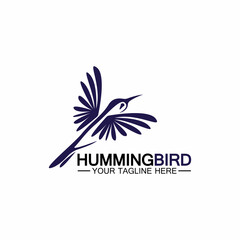 Fototapeta na wymiar Hummingbird logo design vector template