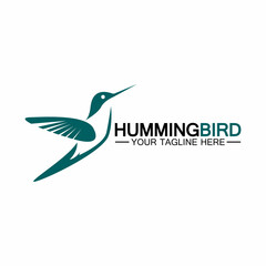 Hummingbird logo design vector template