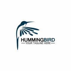 Hummingbird logo design vector template © Sunar