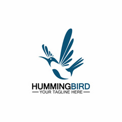 Hummingbird logo design vector template